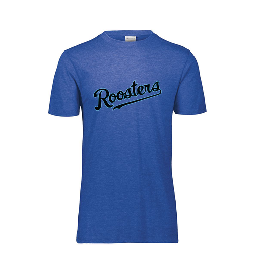 [FTSCUBRY-YS-LOGO2] Decker Youth Tri-Blend T-Shirt - Short Sleeve (Youth S, Royal, Logo 2)