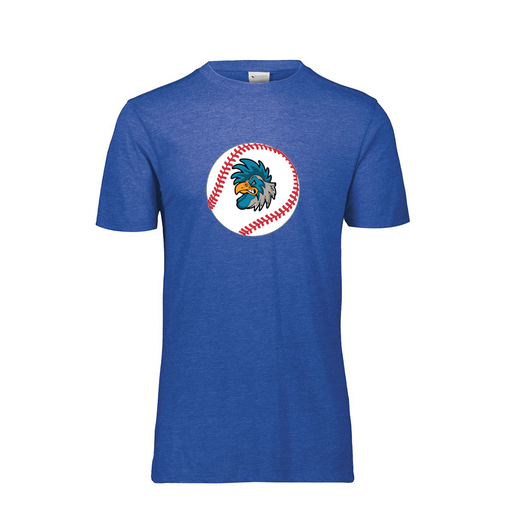 [FTSCUBRY-YS-LOGO3] Decker Youth Tri-Blend T-Shirt - Short Sleeve (Youth S, Royal, Logo 3)