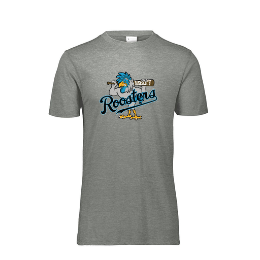 [FTSCUBGY-YS-LOGO1] Decker Youth Tri-Blend T-Shirt - Short Sleeve (Youth S, Gray, Logo 1)